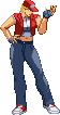 Terry Bogard - Stand